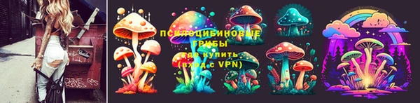 стафф Беломорск