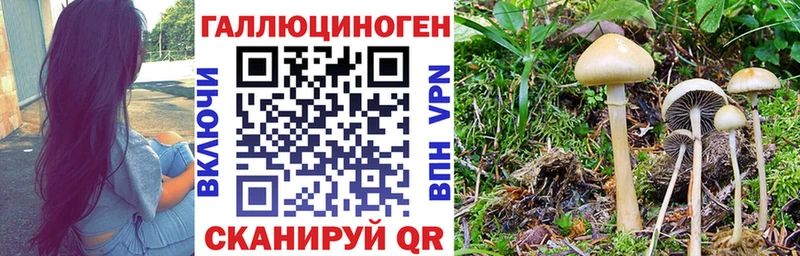 продажа наркотиков  Киров  Галлюциногенные грибы MAGIC MUSHROOMS 